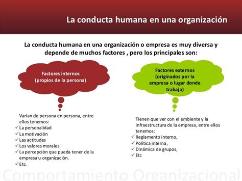 Fundamentos Del Comportamiento Individual Y La Conducta Humana