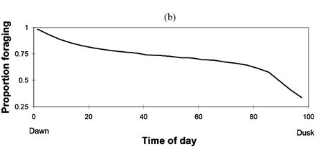 A The Optimal Foraging Strategy Together With The Distribution Of