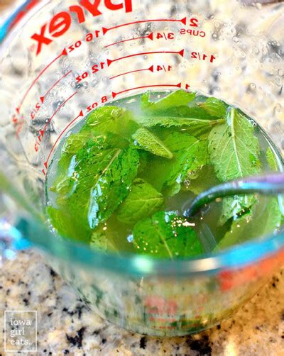 Sparkling Mint Limeade Refreshing Mocktail Recipe