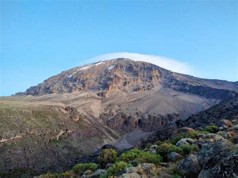 Mountain At The Kilimanjaro Tour Lemosho Route Monkeys And