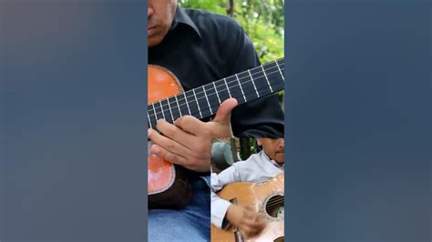 Debajo De Los Laureles Youtubeshort Instrumental Requinto Y Guitarra Youtube