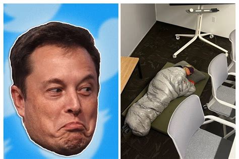 Elon Musk Despide A La Creadora De Twitter Blue Que Durmi En La