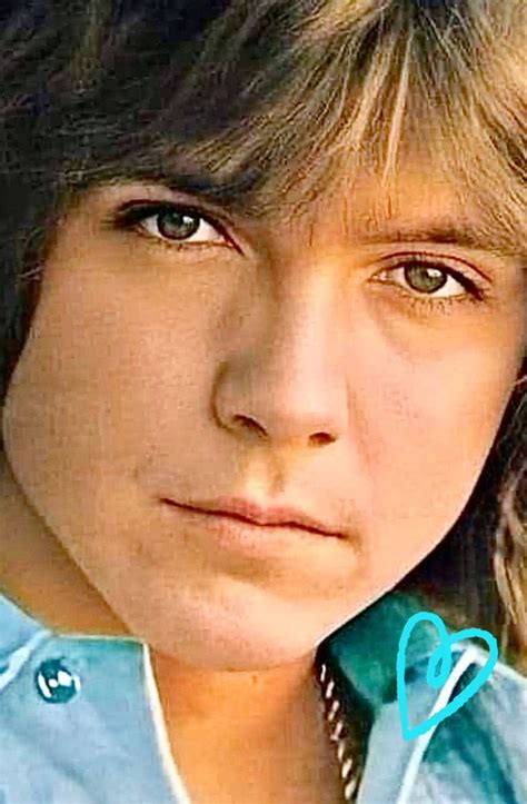 David Cassidy David Cassidy David Hollywood Actor