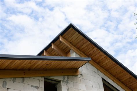 Modern Skillion Roof Design Ideas For Ultimate Home Aesthetics