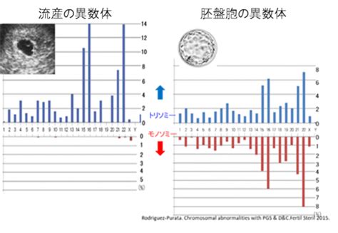 着床前胚染色体異数性検査pgt Aについて 2022年9月改訂 不妊治療 京野アートクリニック高輪（東京 港区 品川）