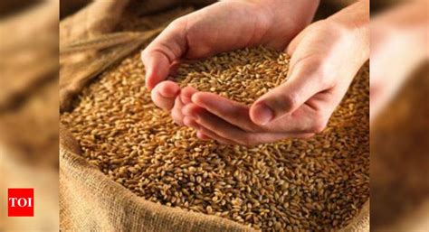 Government Hikes Wheat Msp By Rs Per Quintal Pulses Up To Rs