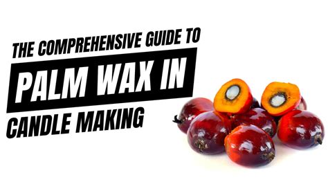 The Comprehensive Guide to the Use of Palm Wax in Candles – Candlelore