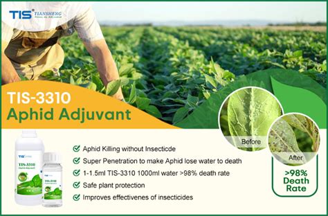 Buy China Wholesale Organic Insecticide For Aphids Killing Synergist ...