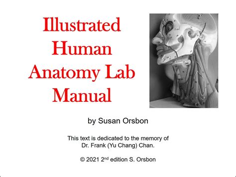 Illustrated Human Anatomy Lab Manual 2nd Edition 2021 Etsy