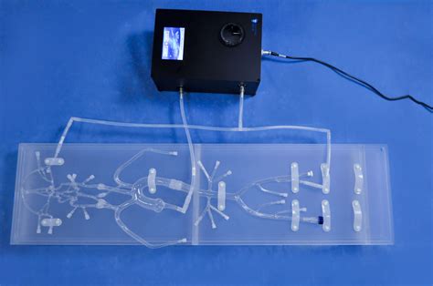 Modelo Vascular Para Neurologia Sj D Trando D Medical