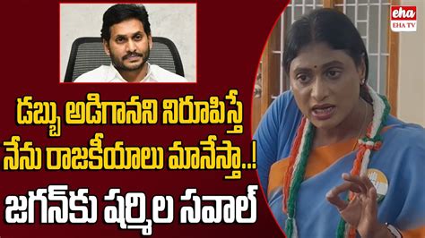 Ys Sharmila Challenge To Ys Jagan Ys Avinash Reddy Eha Tv Youtube