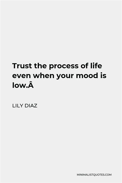 Lily Diaz Quote Trust The Process Of Life Even When Your Mood Is Low