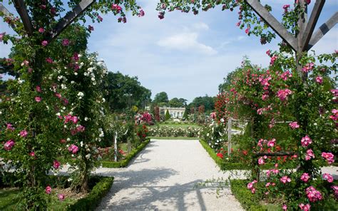 Discover Rose Species At Parc De Bagatelle Paris Romantic