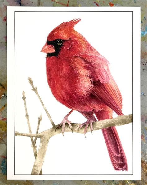 Watercolor Bird Art Print Northern Cardinal Male Etsy In 2021 Art Prints Male Art Art