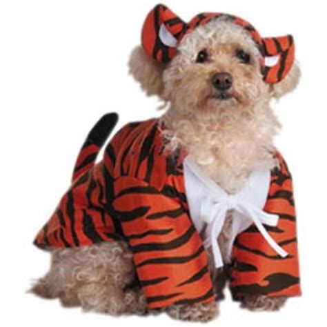 Raja The Tiger Dog Costume - Walmart.com