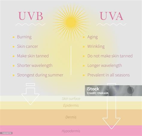 Uvbとuvaの紫外線の違い太陽光線の種類に関する情報ベクトル 皮膚のベクターアート素材や画像を多数ご用意 皮膚 イラストレーション