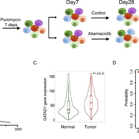 Crispr Cas Screen Identifies Factors Synthetic Lethal With Cdk