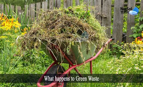 What Happens To Green Waste Netsol Water