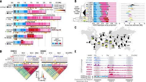 Complete Genomic And Epigenetic Maps Of Human Centromeres Science