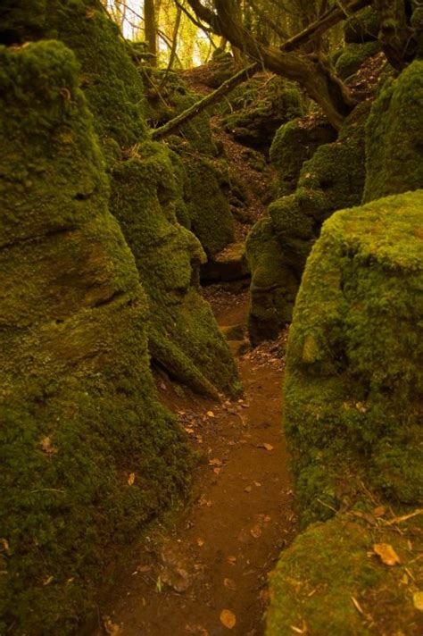 Pictures of Coleford, Gloucestershire, England | England Photography ...