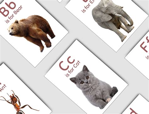 Printable Animal Alphabet Flashcards Preschool Alphabet Flash Etsy