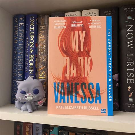 My Dark Vanessa By Kate Elizabeth Russel Hobbies Toys Books