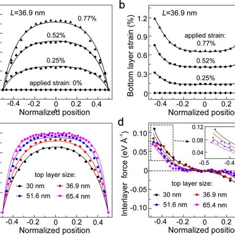 Simulated Strain Distribution And Interlayer Shear Force Along The