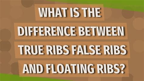 What Is The Difference Between True Ribs False Ribs And Floating Ribs