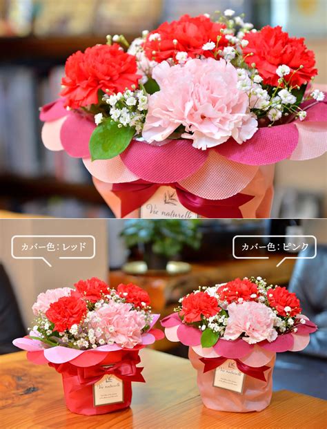 ハイクオリティ プレゼント 花 ギフト ロマンチックかすみ草 ファミリーバスケット 花束 生花 母の日花 送料無料 母の日 カーネーション ピンク 赤 カスミソウ カスミ草 かすみそう お祝い