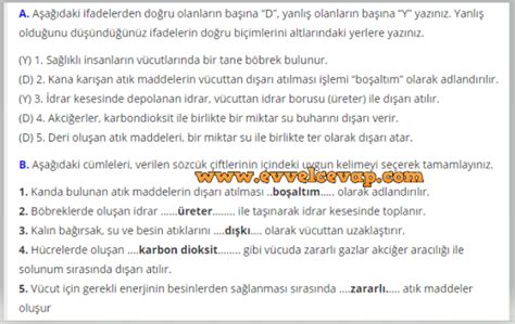 6 Sınıf Fen Bilimleri Sevgi Yayınları Ders Kitabı Cevapları Sayfa 82