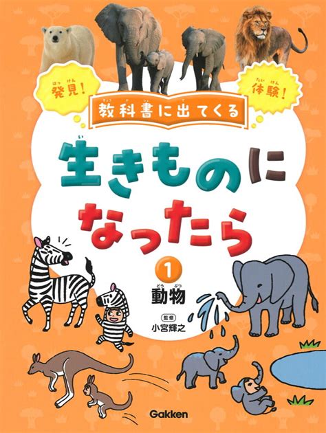 楽天ブックス 第1巻 動物 小宮輝之 9784055014168 本