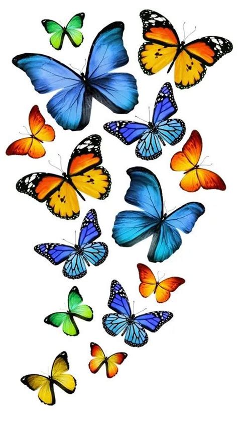 Pin By Edith On Fondos De Mariposas Butterfly Wallpaper Blue