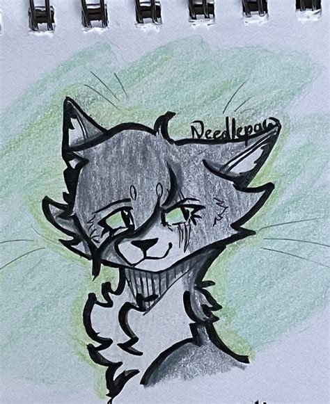 Needletail Warrior Cats