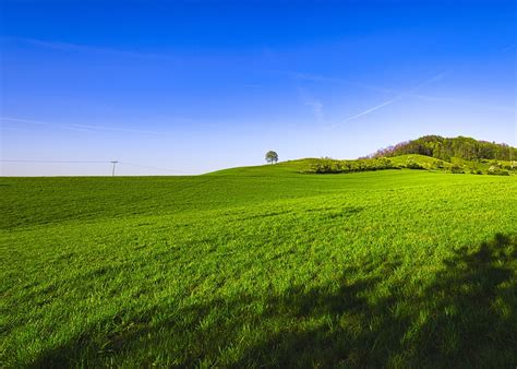 Lanskap Bukit Padang Rumput Foto Gratis Di Pixabay Pixabay