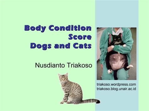 Nus Body Condition Score Cat Dog 2009 Ppt