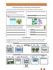 video recap comparing photosynthesis and cellular respiration by amoeba ...