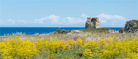 Cosa Vedere A San Foca Idee Originali Per La Tua Visita BarbarHouse