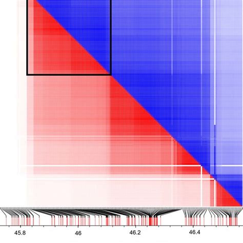 Pairwise Linkage Disequilibrium Between Diagnostic Neanderthal