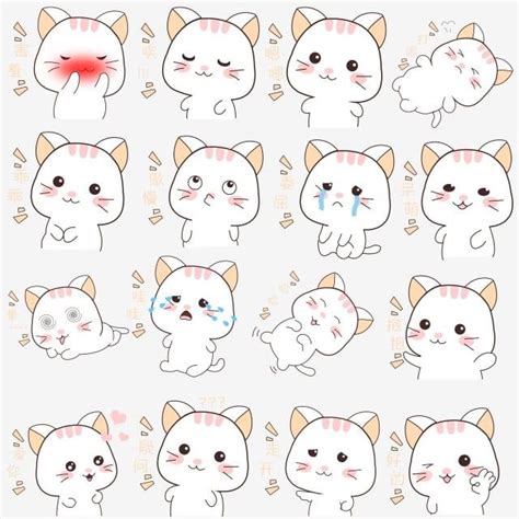 The Various Stages Of Cats With Different Facial Expressions And