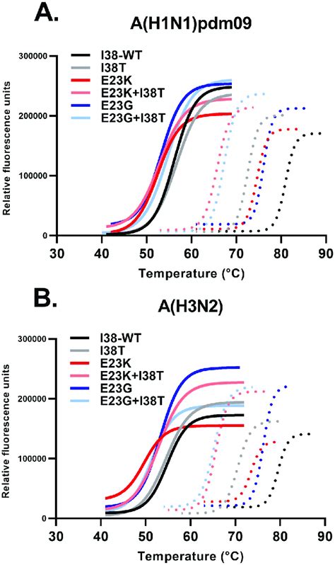 Thermal Stability Of Bxa Rpa N With E23gk Substitutions The Thermal