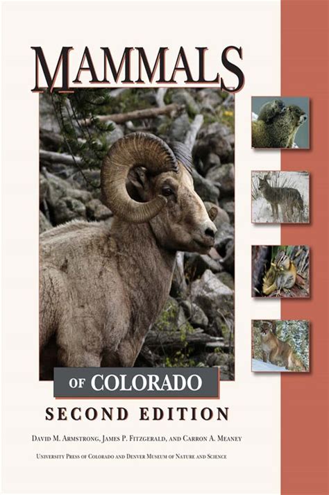 Mammals Of Colorado Second Edition 2nd Ed