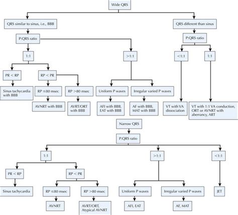 Arrhythmias In Congenital Heart Disease Thoracic Key