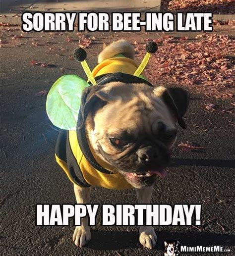 35 Best Happy Belated Birthday Memes SayingImages