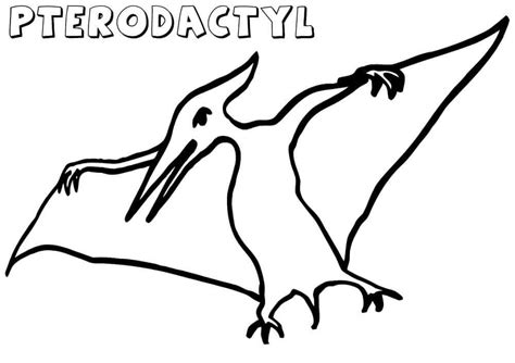 Pterodáctilo Simples para colorir imprimir e desenhar Colorir Me