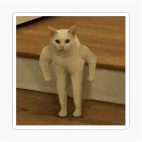 Standing Cat Meme Had To Do It To Em Sticker For Sale By