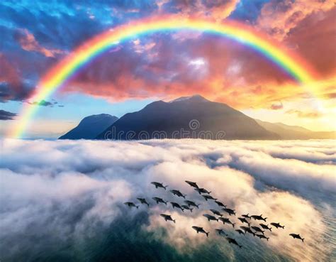 Impresionante Arco Iris Sobre Las Monta As Con Delfines Saltando A Las