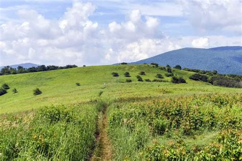 Best Hiking in Highlands NC: Trails, Tips, and More