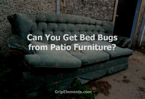 Can You Get Bed Bugs From Patio Furniture Check The Solution