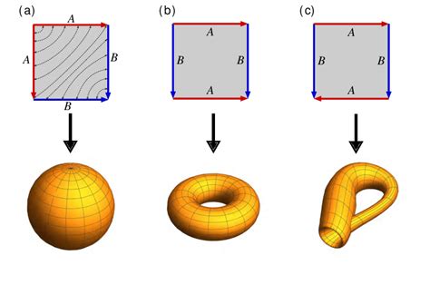 Topological Surgery Forms Different Shapes By Gluing The Sides With The