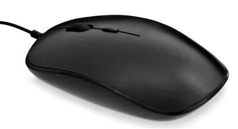 capturar Mata Dando types of mouse necesario tallarines Calvo